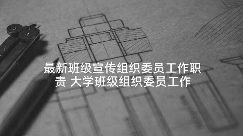 最新班级宣传组织委员工作职责 大学班级组织委员工作总结(实用5篇)