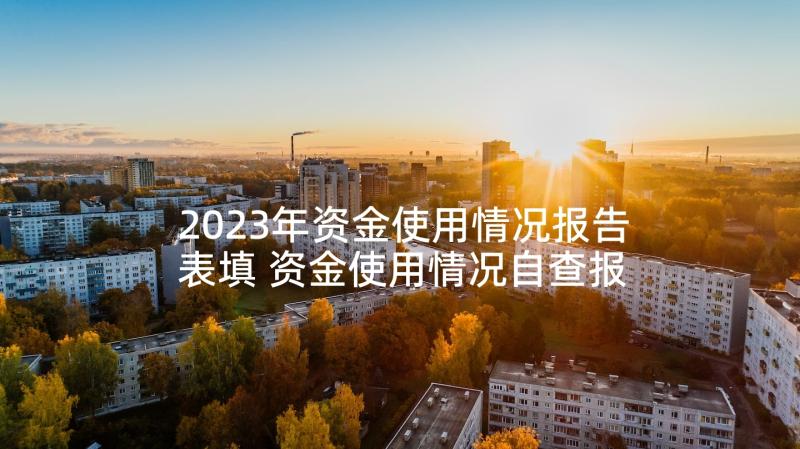 2023年资金使用情况报告表填 资金使用情况自查报告(通用8篇)