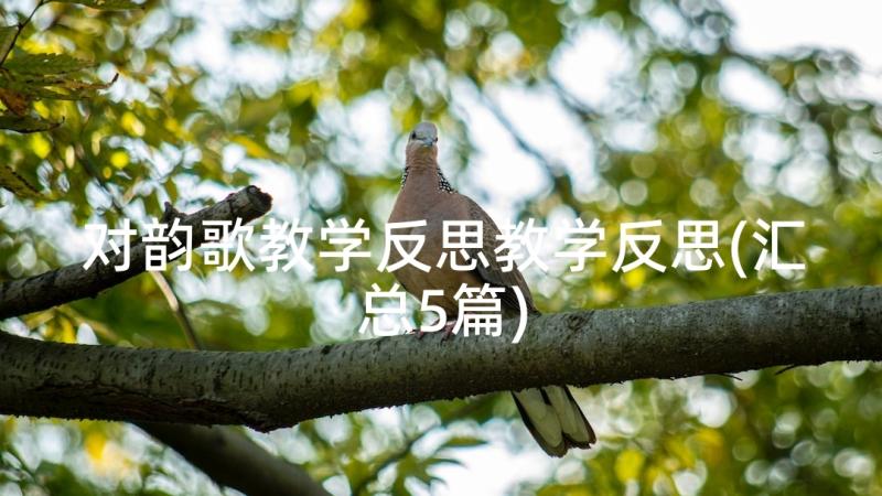 对韵歌教学反思教学反思(汇总5篇)