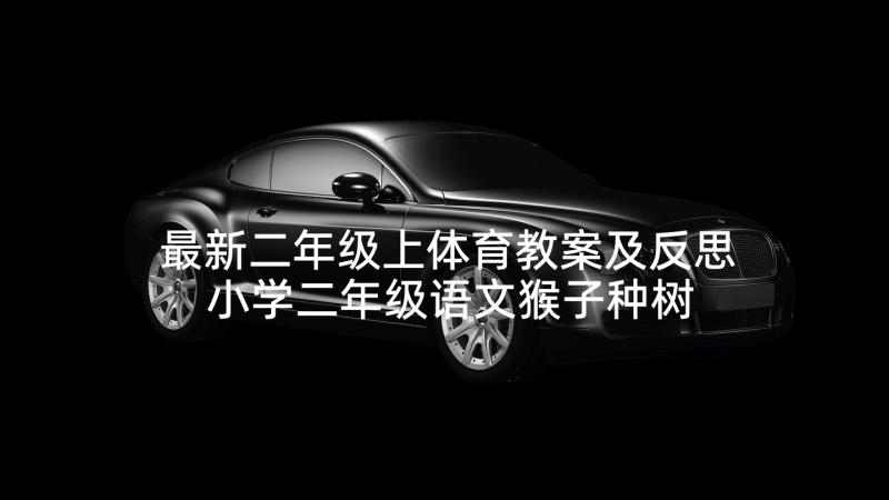 最新二年级上体育教案及反思 小学二年级语文猴子种树教案及教学反思(优质8篇)