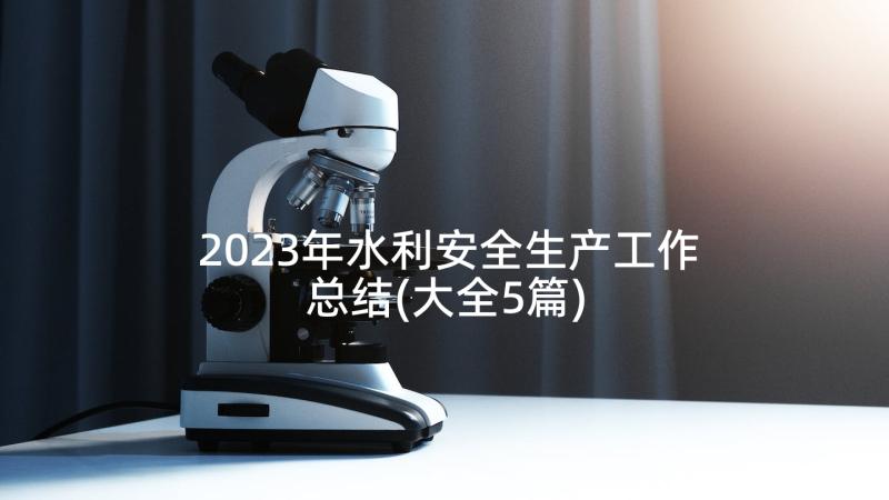 2023年水利安全生产工作总结(大全5篇)