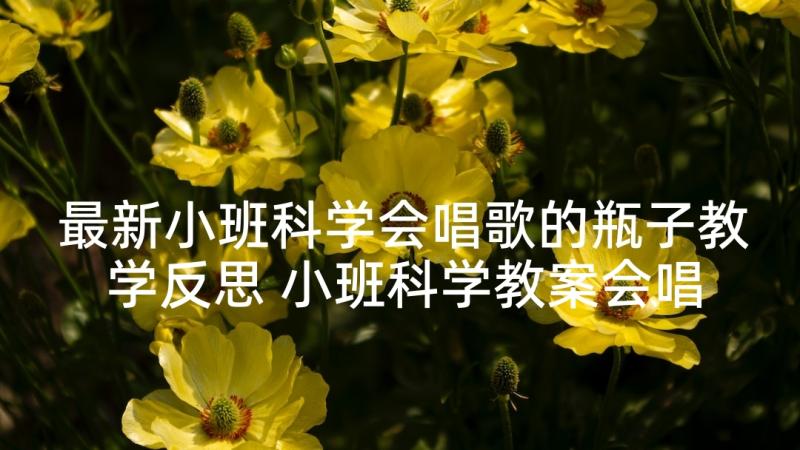 最新小班科学会唱歌的瓶子教学反思 小班科学教案会唱歌的小瓶子反思(通用5篇)