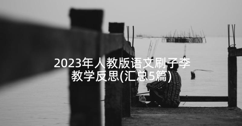 2023年人教版语文刷子李教学反思(汇总5篇)