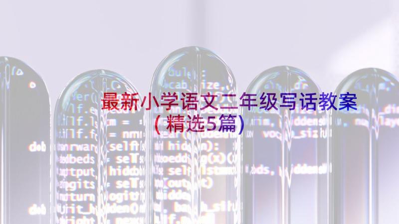 最新小学语文二年级写话教案(精选5篇)