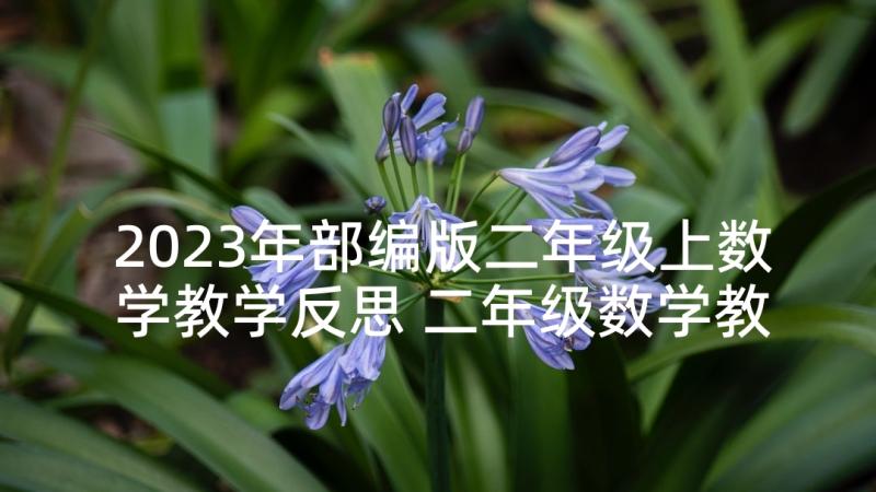 2023年部编版二年级上数学教学反思 二年级数学教学反思(优秀5篇)