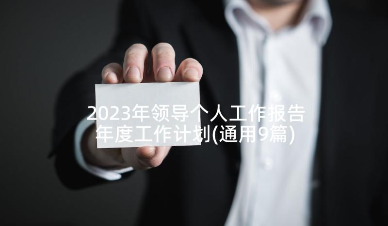 2023年领导个人工作报告年度工作计划(通用9篇)