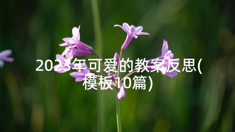 2023年可爱的教案反思(模板10篇)