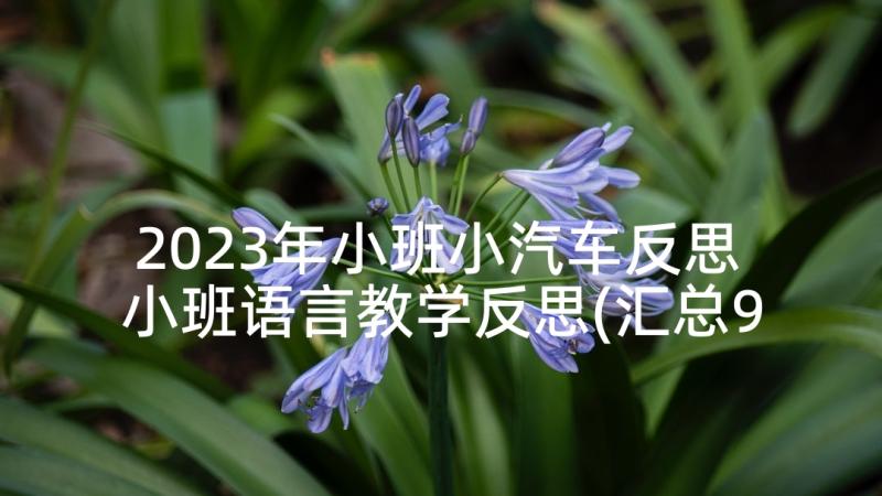 2023年小班小汽车反思 小班语言教学反思(汇总9篇)