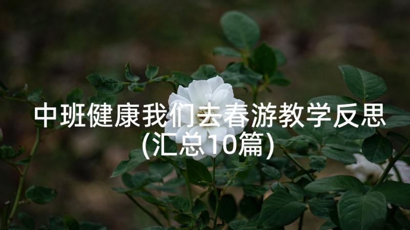 中班健康我们去春游教学反思(汇总10篇)