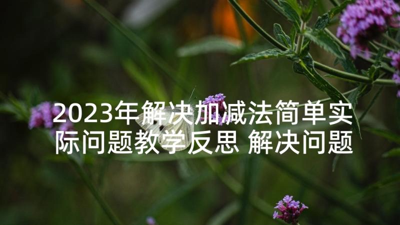 2023年解决加减法简单实际问题教学反思 解决问题教学反思(汇总9篇)