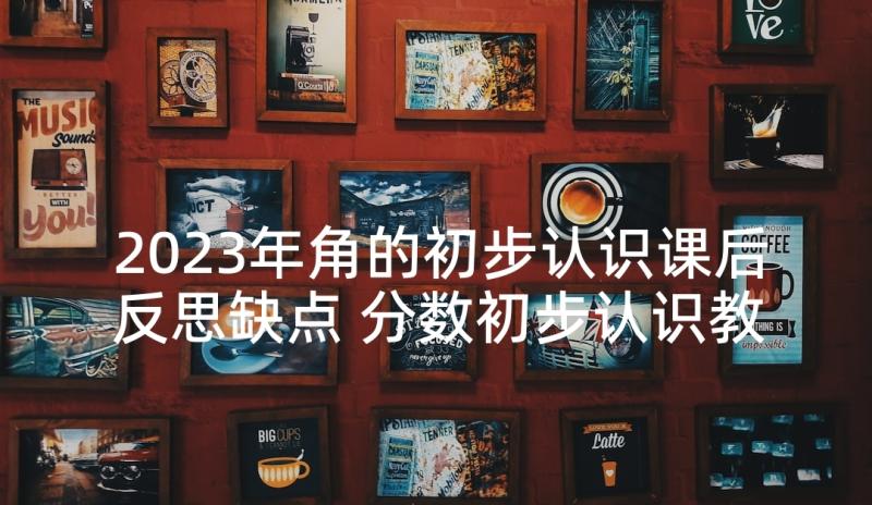 2023年角的初步认识课后反思缺点 分数初步认识教学反思(实用8篇)