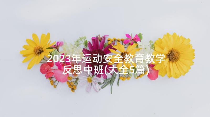 2023年运动安全教育教学反思中班(大全5篇)