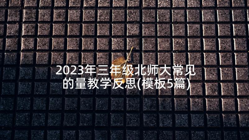 2023年三年级北师大常见的量教学反思(模板5篇)