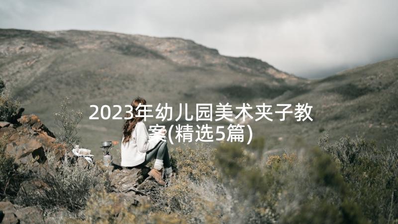 2023年幼儿园美术夹子教案(精选5篇)