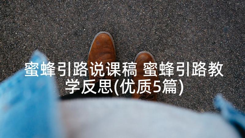 蜜蜂引路说课稿 蜜蜂引路教学反思(优质5篇)