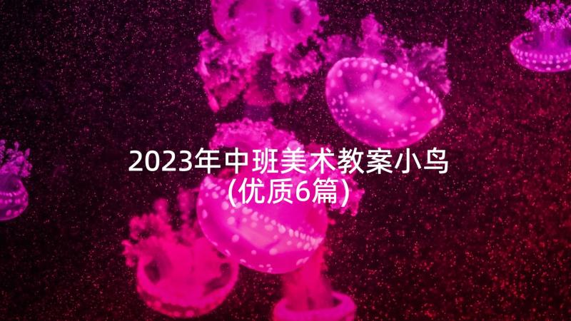 2023年中班美术教案小鸟(优质6篇)