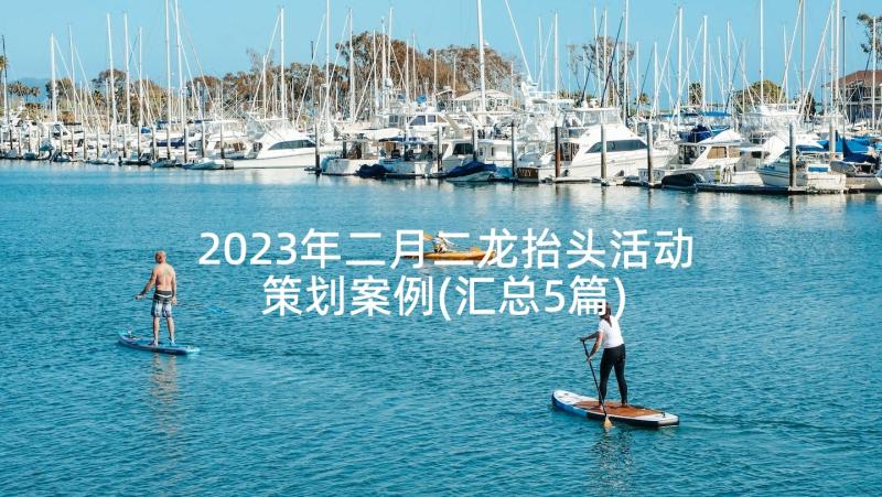 2023年二月二龙抬头活动策划案例(汇总5篇)