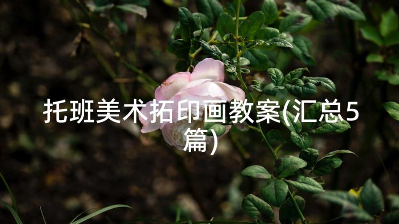 托班美术拓印画教案(汇总5篇)