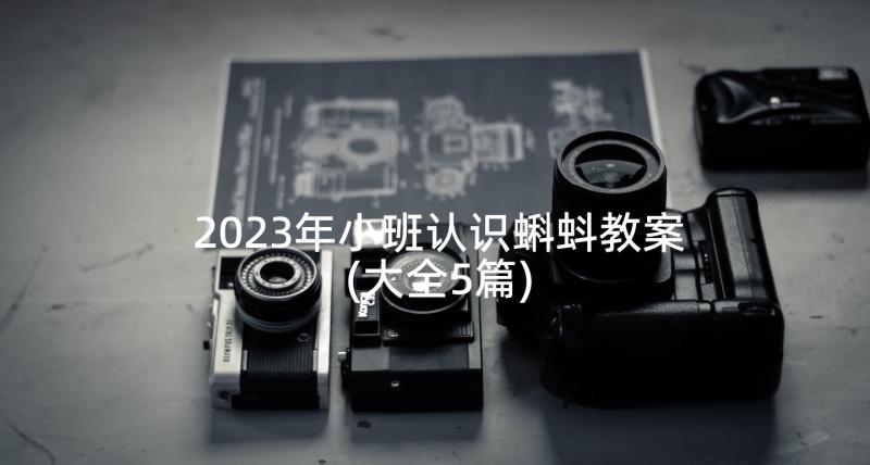 2023年小班认识蝌蚪教案(大全5篇)