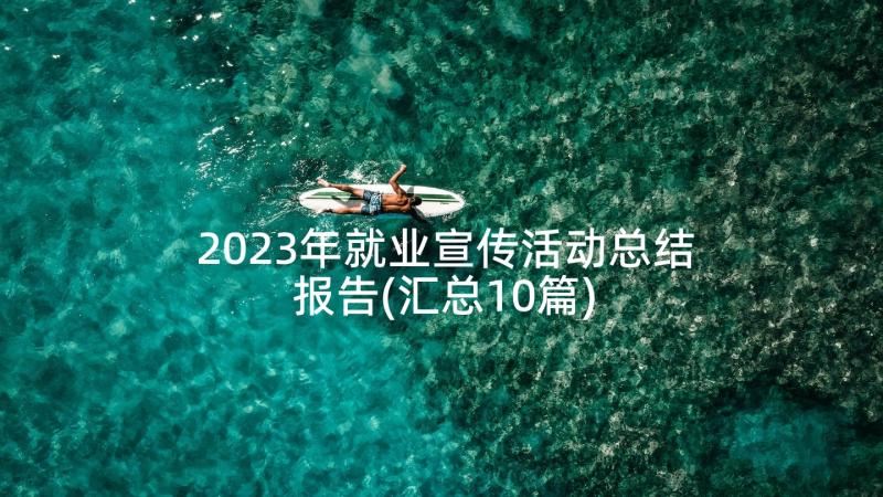 2023年就业宣传活动总结报告(汇总10篇)