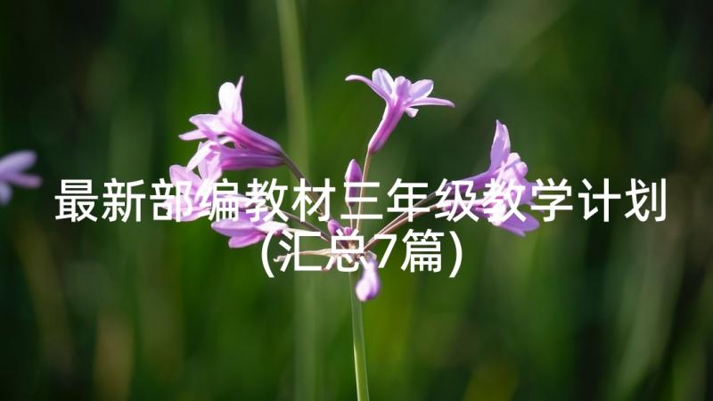 最新部编教材三年级教学计划(汇总7篇)