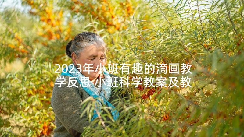 2023年小班有趣的滴画教学反思 小班科学教案及教学反思有趣的水(模板5篇)