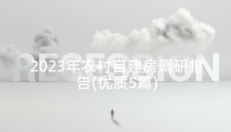 2023年农村自建房调研报告(优质5篇)