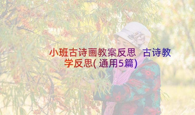 小班古诗画教案反思 古诗教学反思(通用5篇)