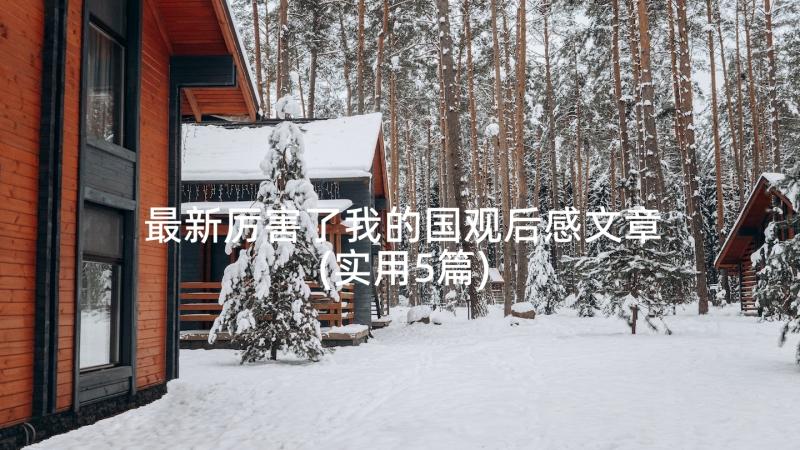 最新住院医师个人总结(实用8篇)