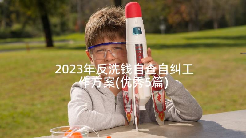 2023年反洗钱自查自纠工作方案(优秀5篇)