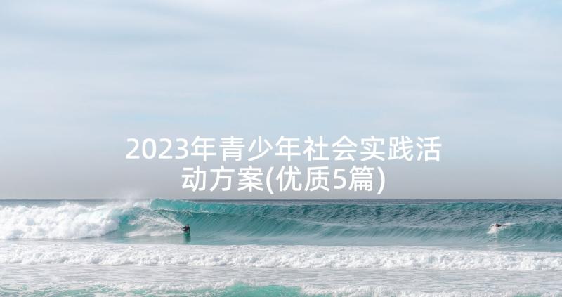 2023年青少年社会实践活动方案(优质5篇)