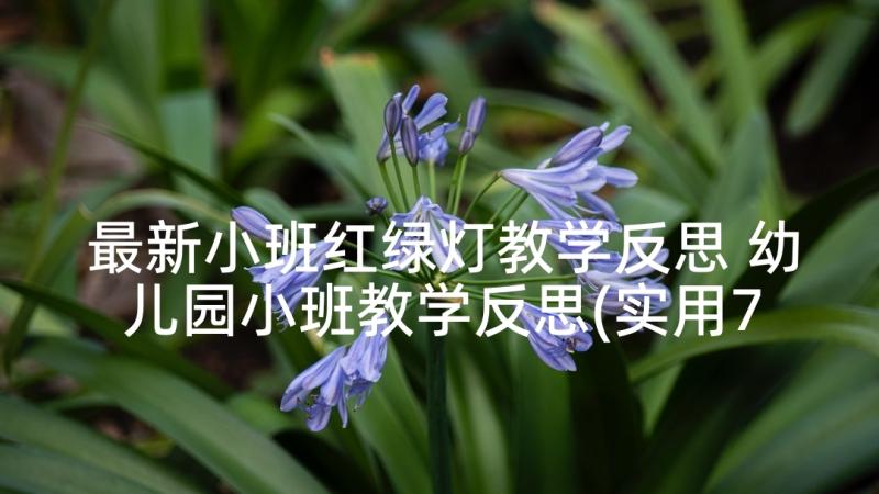 最新小班红绿灯教学反思 幼儿园小班教学反思(实用7篇)