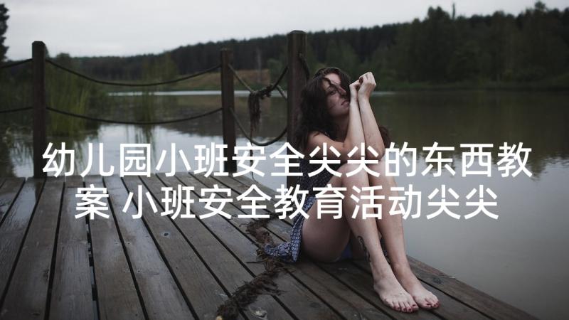 幼儿园小班安全尖尖的东西教案 小班安全教育活动尖尖的东西教案(优质5篇)