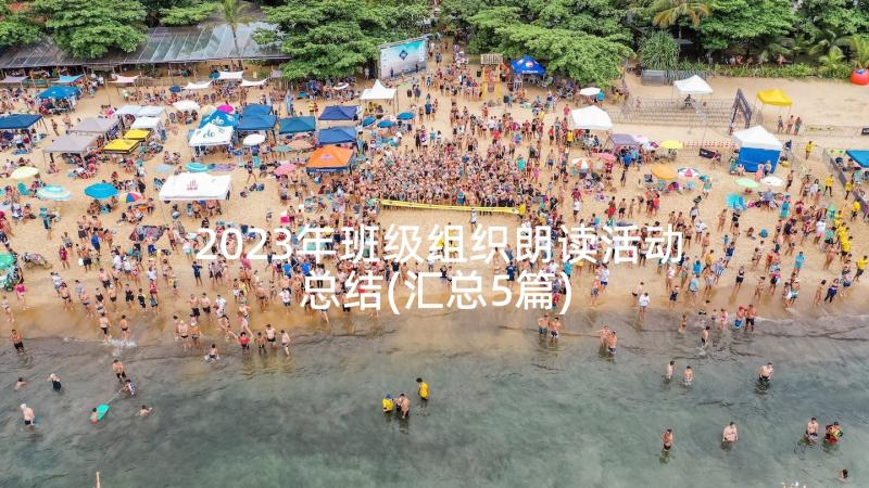 2023年班级组织朗读活动总结(汇总5篇)