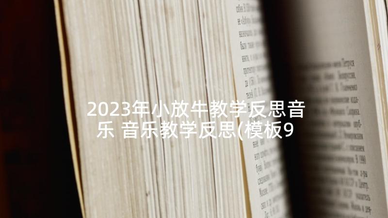 2023年小放牛教学反思音乐 音乐教学反思(模板9篇)