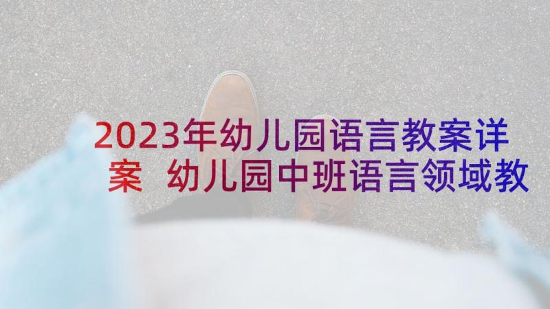 2023年幼儿园语言教案详案 幼儿园中班语言领域教学活动方案(精选8篇)