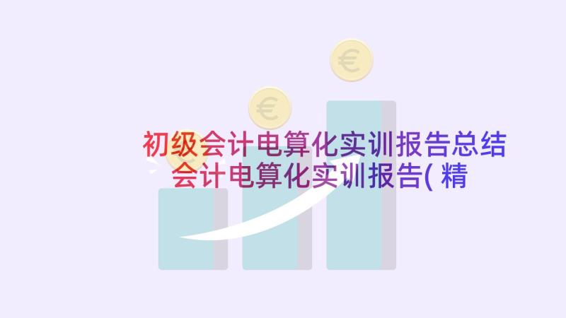 初级会计电算化实训报告总结 会计电算化实训报告(精选5篇)