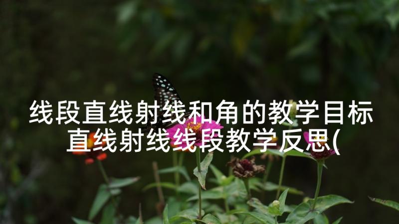 线段直线射线和角的教学目标 直线射线线段教学反思(通用5篇)