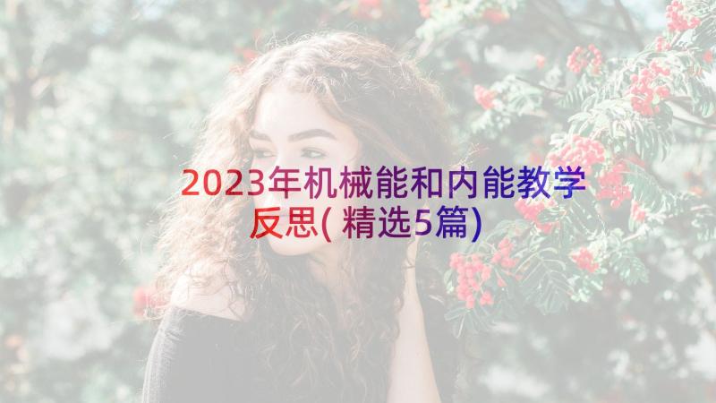 2023年机械能和内能教学反思(精选5篇)