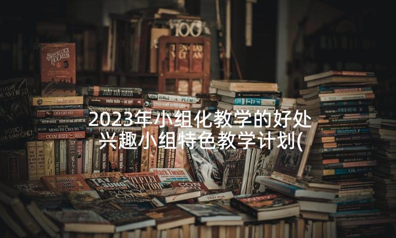 2023年小组化教学的好处 兴趣小组特色教学计划(大全9篇)