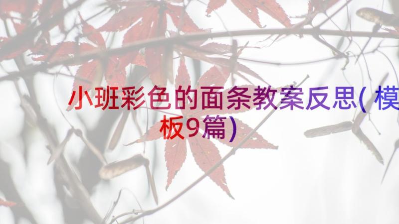 小班彩色的面条教案反思(模板9篇)