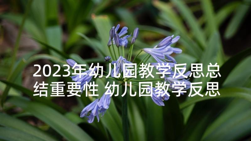 2023年幼儿园教学反思总结重要性 幼儿园教学反思与总结(汇总5篇)