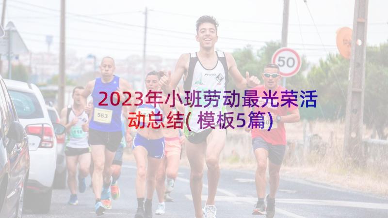 2023年小班劳动最光荣活动总结(模板5篇)