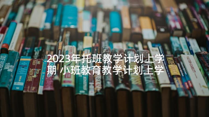 2023年托班教学计划上学期 小班教育教学计划上学期(模板5篇)