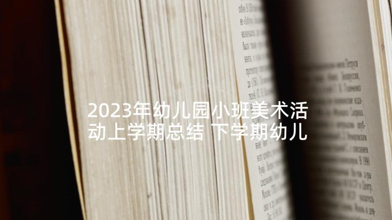 2023年幼儿园小班美术活动上学期总结 下学期幼儿园小班美术活动教案(模板5篇)