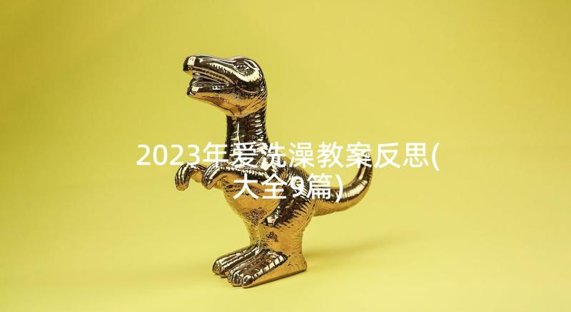 2023年爱洗澡教案反思(大全9篇)