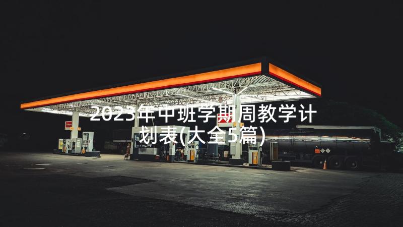 2023年中班学期周教学计划表(大全5篇)