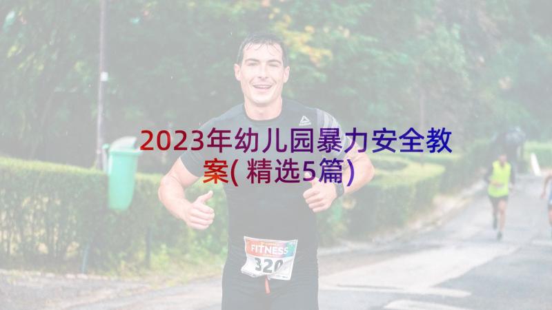 2023年幼儿园暴力安全教案(精选5篇)