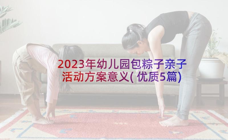 2023年幼儿园包粽子亲子活动方案意义(优质5篇)