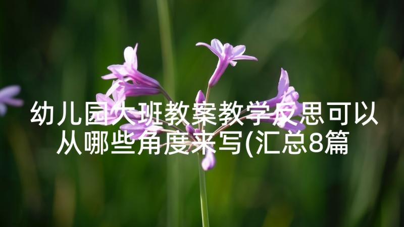 幼儿园大班教案教学反思可以从哪些角度来写(汇总8篇)